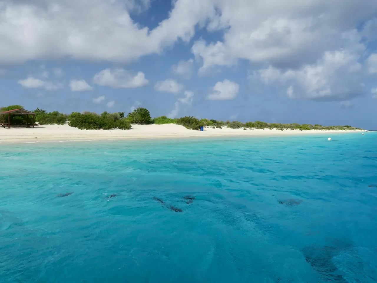 Wit strand en turquoise water bij Klein Bonaire