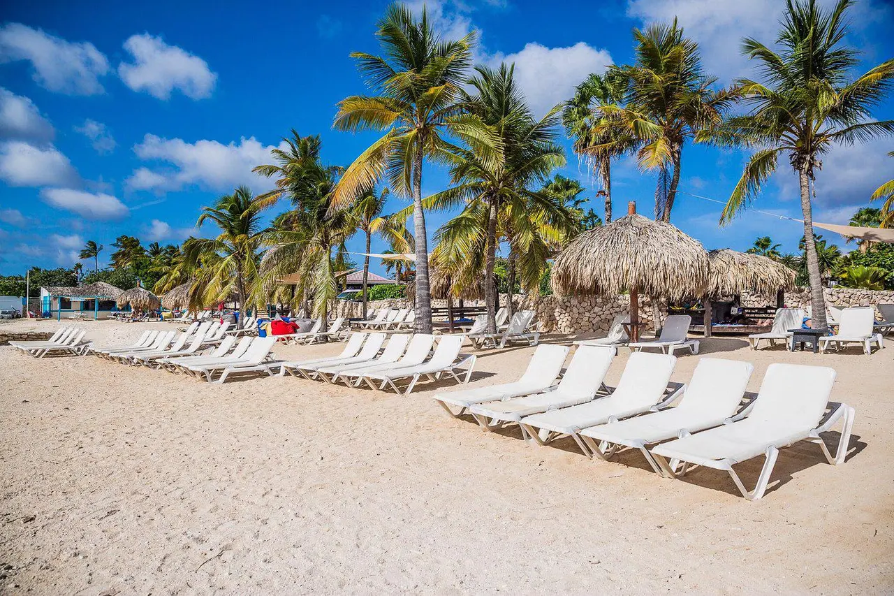 Strand van Van der Valk Bonaire met witte ligbedden en rieten parasols onder palmbomen